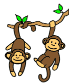 monkeys.jpeg