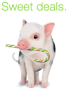 pig-candycane.jpeg